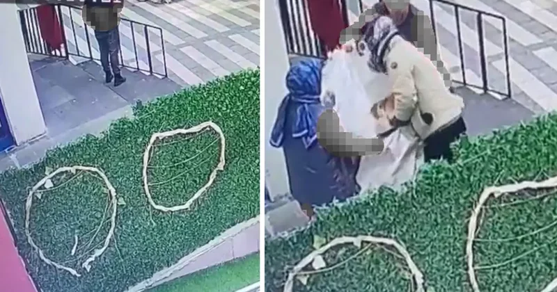 Kedinin çuvala konularak uzaklaştırıldığı görüntülere tepki