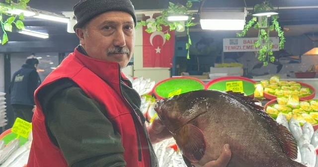 Sivas ta 7.5 kiloluk orfoz balığı tezgahın ağası oldu Sivas Haberleri