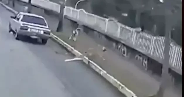 Aracıyla sokak köpeğine kasten çarpan şahıs kamerada!