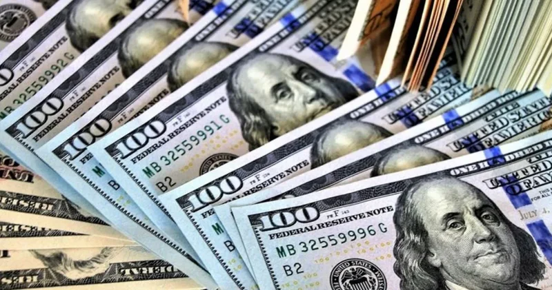 Yüzlerce hesaba yanlışlıkla 44 milyar dolar gitti