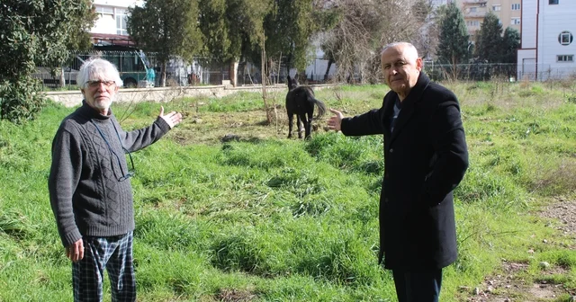 Sahipleri ölüme terk etti, resmi kurumlar topu birbirine attı Yağmurda ıslanan bağlı haldeki katırlar ölüme terk edildi Aydın Haberleri
