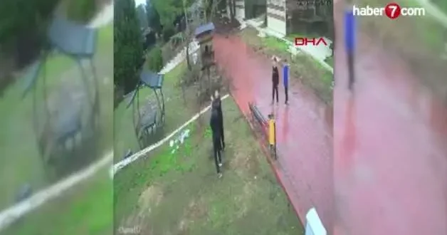 Dinozor Park’ta kuş yuvalarının parçalanmasına tepki