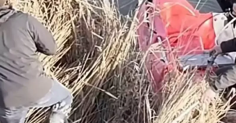 Sinop ta yasa dışı avcılık denetimleri kapsamında 5 kişi hakkında işlem yapıldı