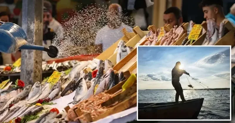 Tezgahların yeni kralı oldu: Kilosu 100 lira kapış kapış satılıyor Ekonomi Haberleri