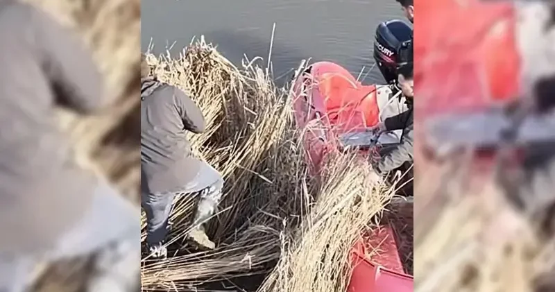 Sinop ta yasa dışı avcılık operasyonu; 5 güme imha edildi