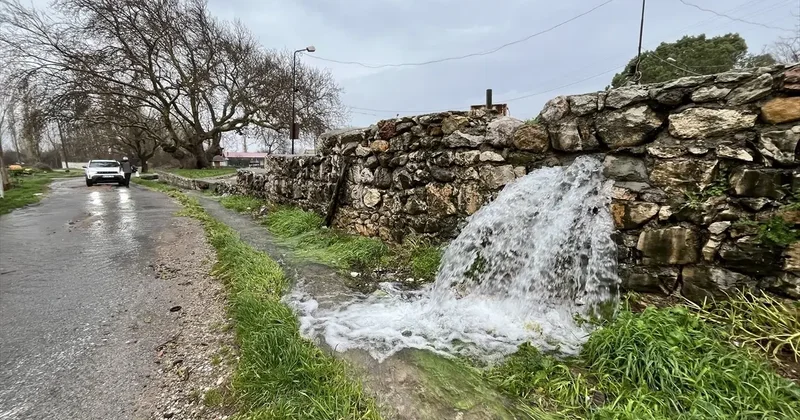 Uzun yıllardır böylesi yaşanmıyor! Taşların arasından fışkırdı