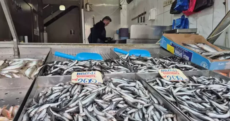 Tezgahlarda hamsi dönemi kapandı: Artık yeni kral o! Kilosu 100 lira
