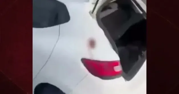 İzmir’de bozuk yolu vatandaş onardı