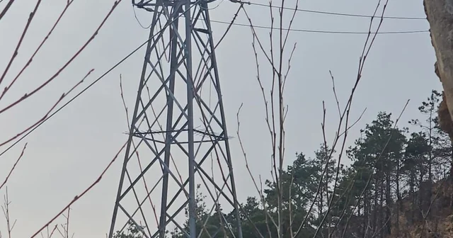 Vinç kiralayarak 1 milyon TL lik kablo çaldılar Artvin Haberleri