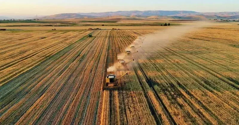 Dev hibe desteği yürürlüğe girdi: Çiftçiye yüzde 75 hibe müjdesi