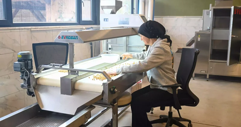 BAU Farm da üretimin gücü kadınlar