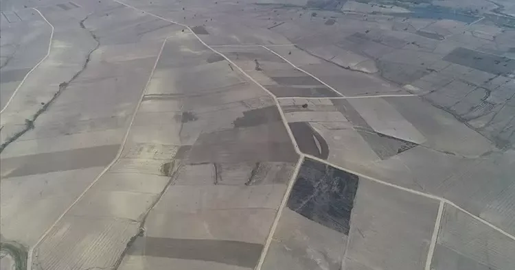 Tarlası boş olanlar dikkat! Masrafın yüzde 75 ini devlet karşılayacak