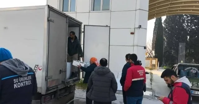 Aydın da nakil belgesiz 290 kasa balığa el konuldu Aydın Haberleri