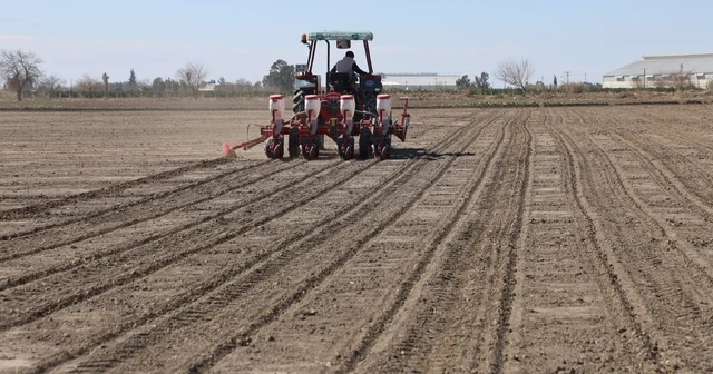 Çukurova nın bereketli toprakları mısır ve ayçiçeği tohumları ile buluştu Adana Haberleri