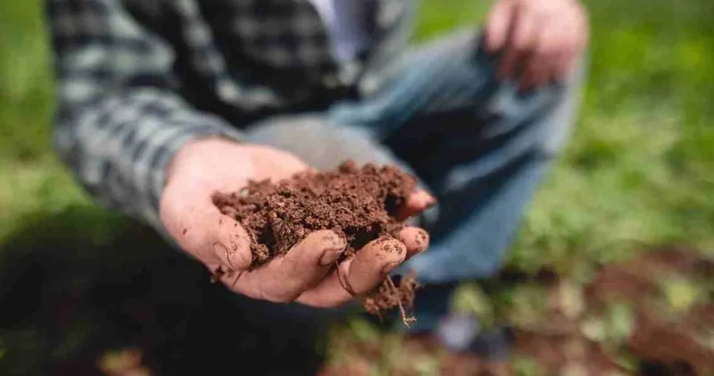 Resmi Gazete de yayımlandı: Gübrede ithalat vergisi sıfırlandı