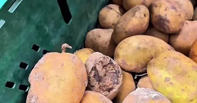 Market raflarında tarihi geçmiş tavuk ve içecek alarmı Kocaeli Haberleri