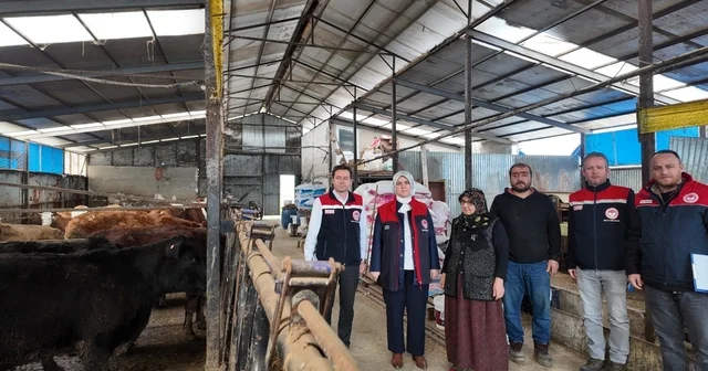 Düzce de kadın yetiştiriciye etçi ırk düve desteği Kırsalda bereket, hayvancılığa destek Düzce Haberleri