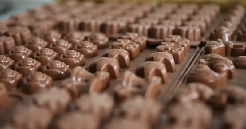 Türkiye nin 40 yıllık çikolata markası iflas etti