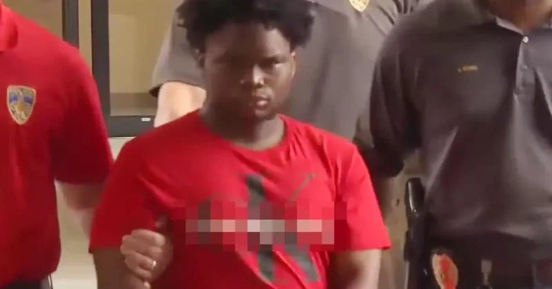 94 yaşındaki kadına tecavüz eden 22 yaşındaki şahıs tutuklandı