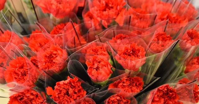 8 Mart ta kırmızı karanfil yoğun talep görüyor İzmir Haberleri