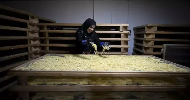 Bir çuval unla başlayan ihracat serüveni: Kınalı eller sınırları aştı