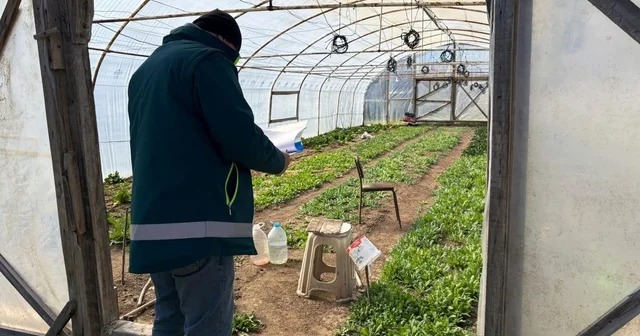Tavşanlı da KOBÜKS kapsamında sera kontrolleri Kütahya Haberleri