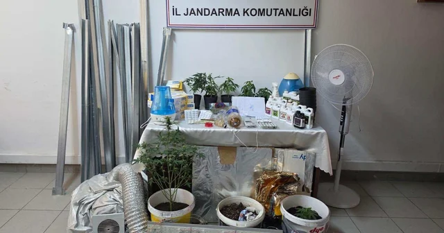 Evdeki kenevir serası na jandarma baskını; 2 gözaltı Tokat Haberleri