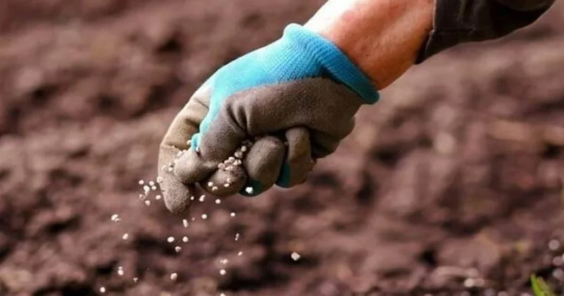Gübrede gümrük vergisi kaldırıldı: Amaç maliyet ve gıda fiyatlarını frenlemek Sözcü Gazetesi