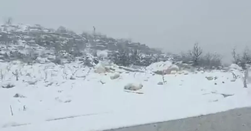 Diyarbakır’ın iki ilçesinde kar yağışı