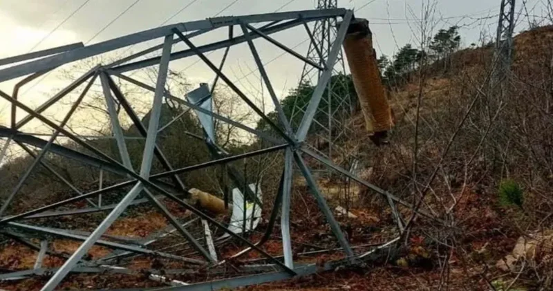 Vinç kiralayıp direklerden milyonluk kabloları çaldılar