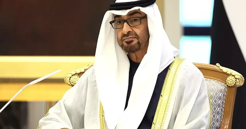 BAE Devlet Başkanı ndan ilk açıklama: Savaş zamanındayız, kolay bir av değiliz