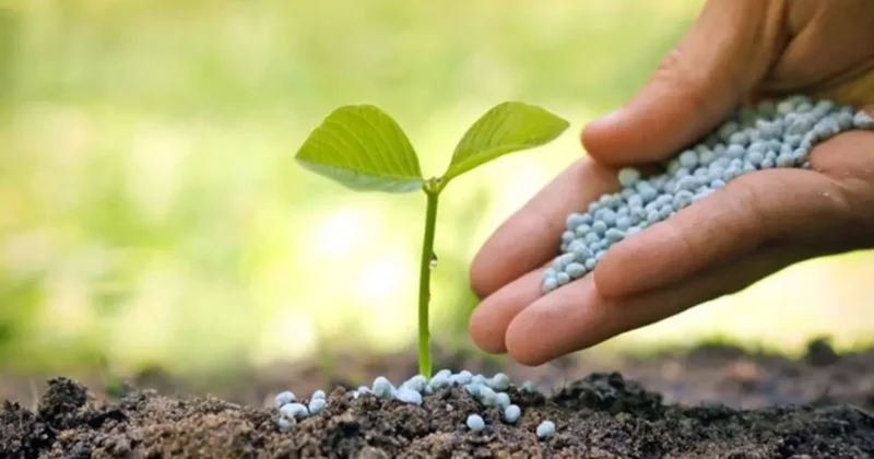 Gübre ham maddesi üre için ithalatta gümrük vergisi sıfırlandı