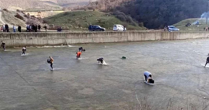 Balık yakalamak için ellerinde çuval, kova ve kasalarla baraja akın ettiler