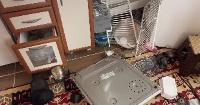 Ayılar Trabzon da yaylalardan sonra mahallelere dadandı Ayı saldırılarından bıkan Trabzonlu işi şakaya vurup ayı saldırısını espri ile anlattı Trabzon Haberleri