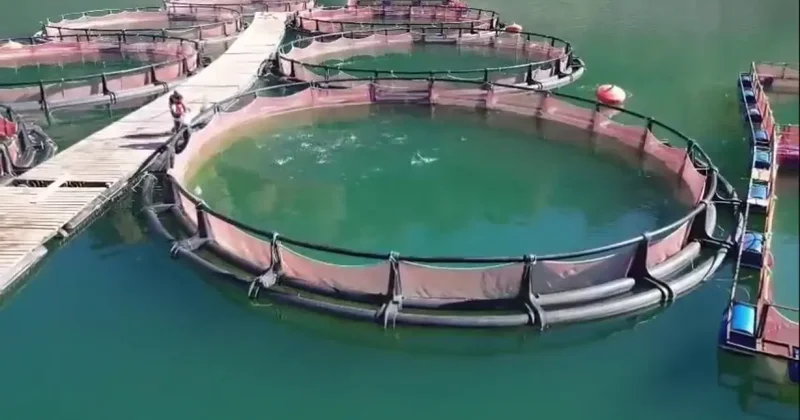 3,3 milyar TL lik dev yatırım! TKDK hibeleriyle şehir şaha kalktı