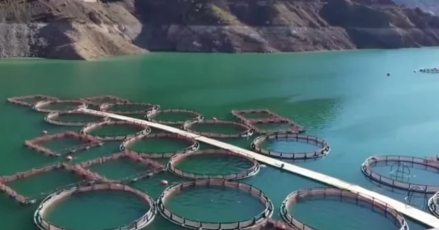 Erzurum da 3,38 milyar destekle 5 bin 226 kişilik istihdam oluştu Erzurum Haberleri