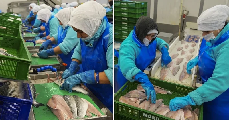 Su ürünleri ihracatı yılın ilk çeyreğinde yaklaşık 553 milyon dolar oldu Ekonomi Haberleri