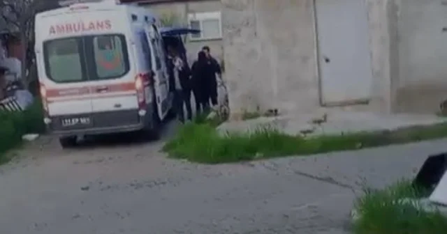 Aile içi tapu anlaşmazlığı karakolda bitti Bilecik Haberleri