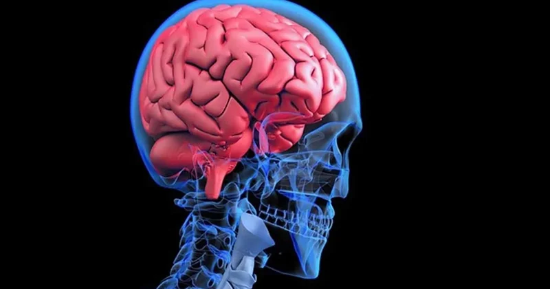 Beyni 12 yıl boyunca 146°C de dondurulmuş halde kaldı Sözcü Gazetesi