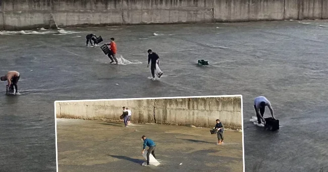 Çizmelerle suya girdiler: Çuval ve kasalarla topladılar!