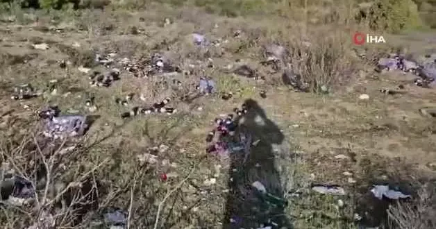 Bilecik te ormanlık alana yüzlerce şişe bozuk şalgam suyu atıldı