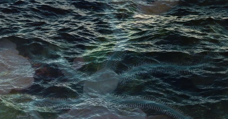 Suyun içinde kendini yeniden üreten yaratık bulundu Sözcü Gazetesi