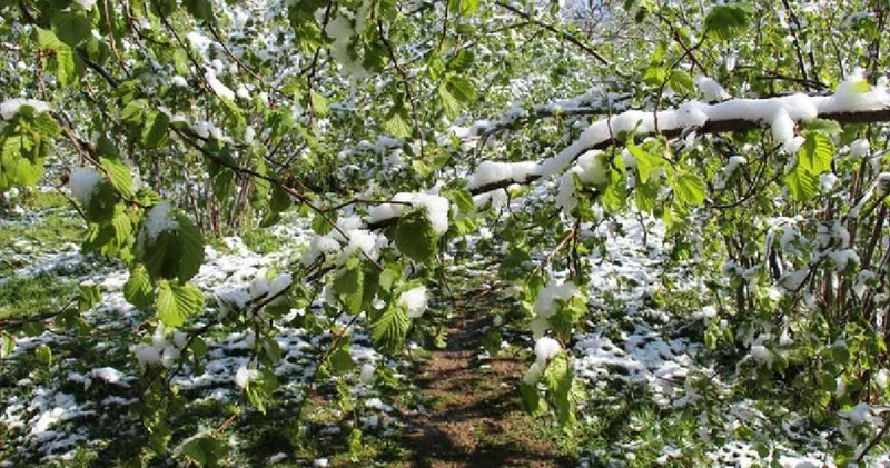 Üreticilere çağrı yapıldı! Bakanlık ve valilik tarih vererek uyardı