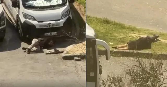 Teröristin vurulma anı: Kahraman polis böyle çatıştı VİDEO İZLE