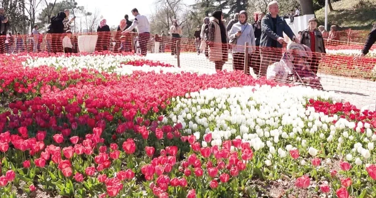 İstanbul çiçek açtı