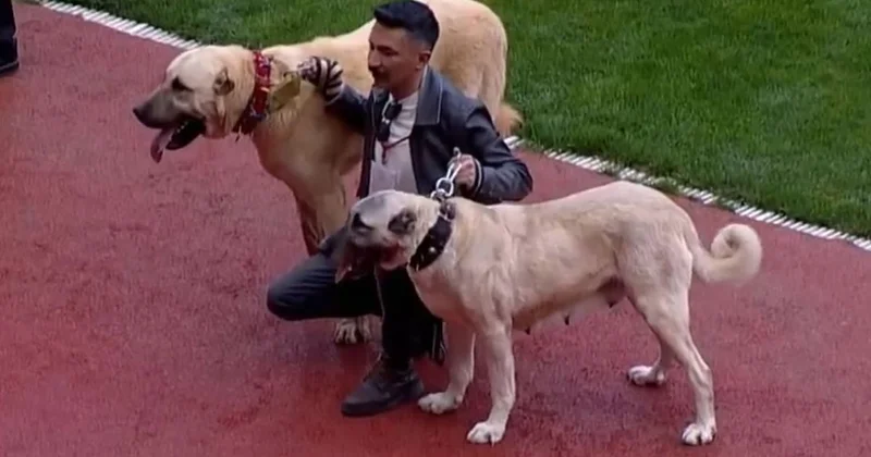 En sonunda bunu da gördük! Sahaya kangallarla çıktılar