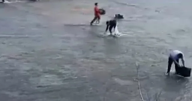 Taşan barajdan çuval ve kasayla balık yakaladılar VİDEO İZLE