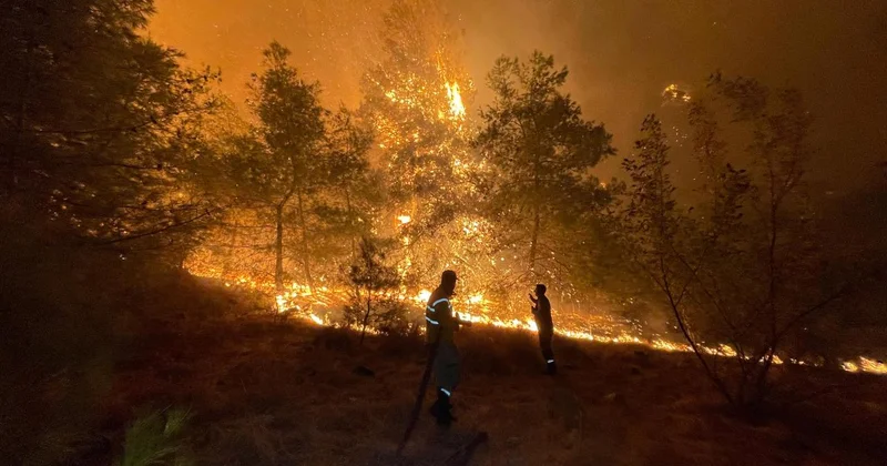 2026 te çıkan orman yangınlarının yüzde 96 sı insan kaynaklı