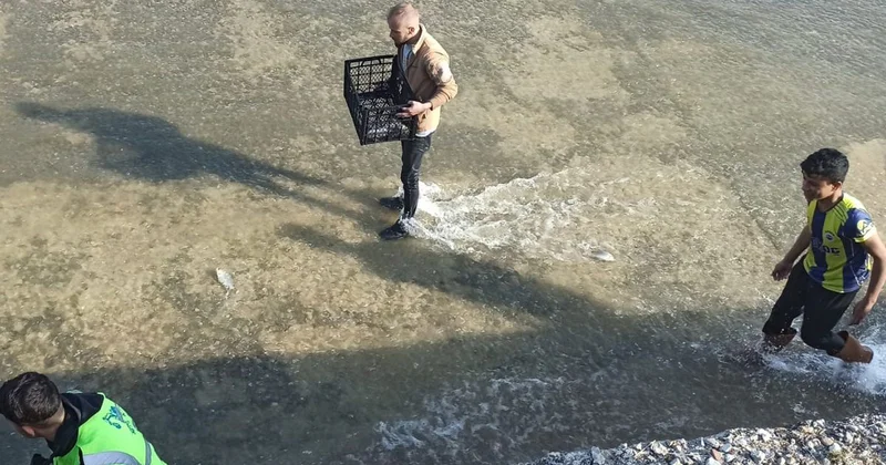 Haberi duyan balık toplamaya koştu