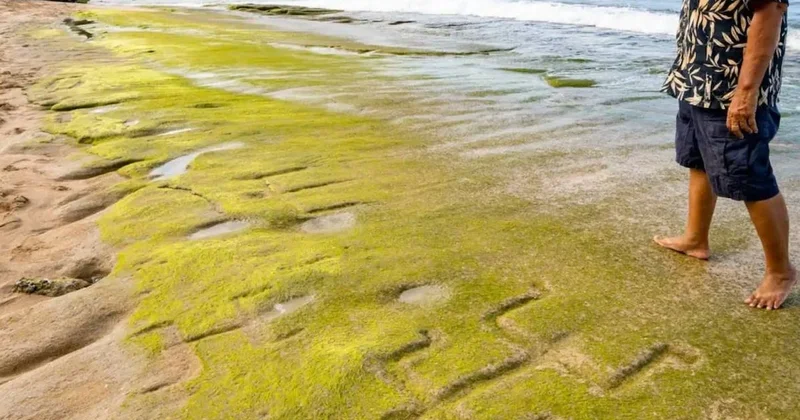 Yıllardır kumların altında gizli kalmıştı: 1000 yıllık sır perdesi aralandı Sözcü Gazetesi